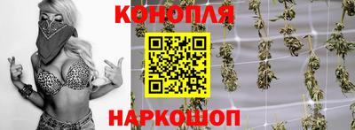 дживик Тара