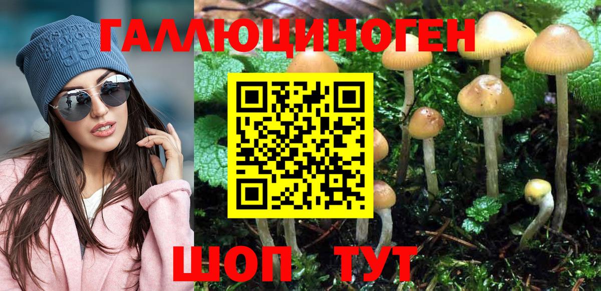 Псилоцибиновые грибы Cubensis Асино
